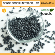 Black Beans, Cheap Price In Alibaba